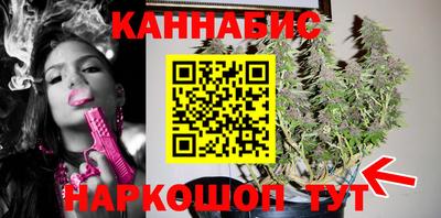 шишки Будённовск