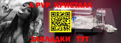 шишки Будённовск